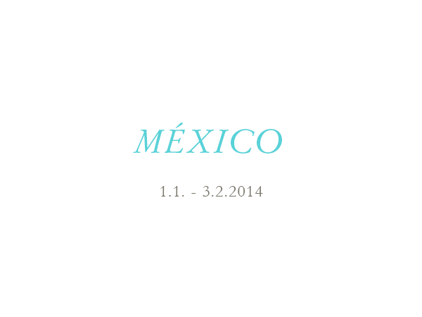 Mexico 2014 - 02/04/2014